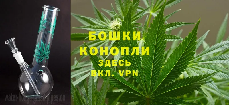 цены   Горбатов  Бошки марихуана SATIVA & INDICA 